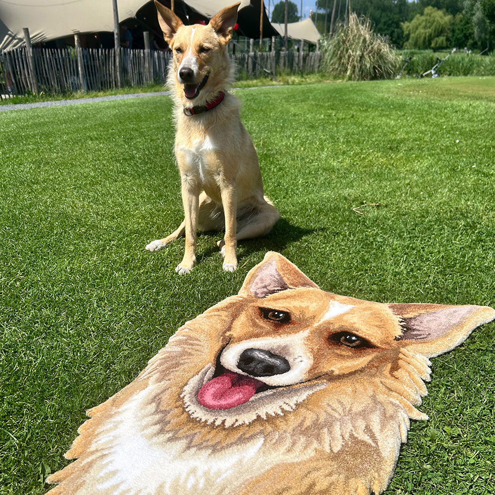custom tufted dog rug